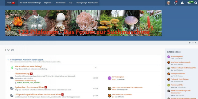 Pilzbuchshop 1700 Pilze, 3600 Pilze, Pilzfavoriten, Pilzexperten - hier klicken zur Infoseite