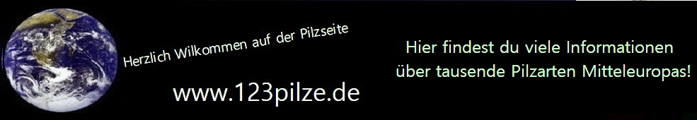 www.123pilze.de - Dateninfos der Schwammerlseite, Bayerwaldpilzseite.